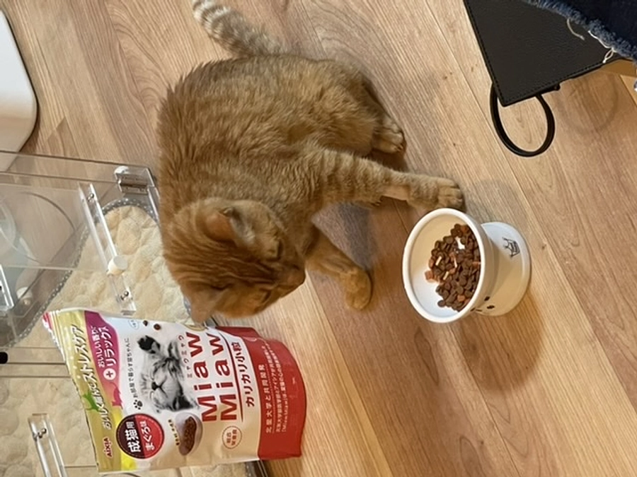 今日も治療頑張った虎徹🚑♡