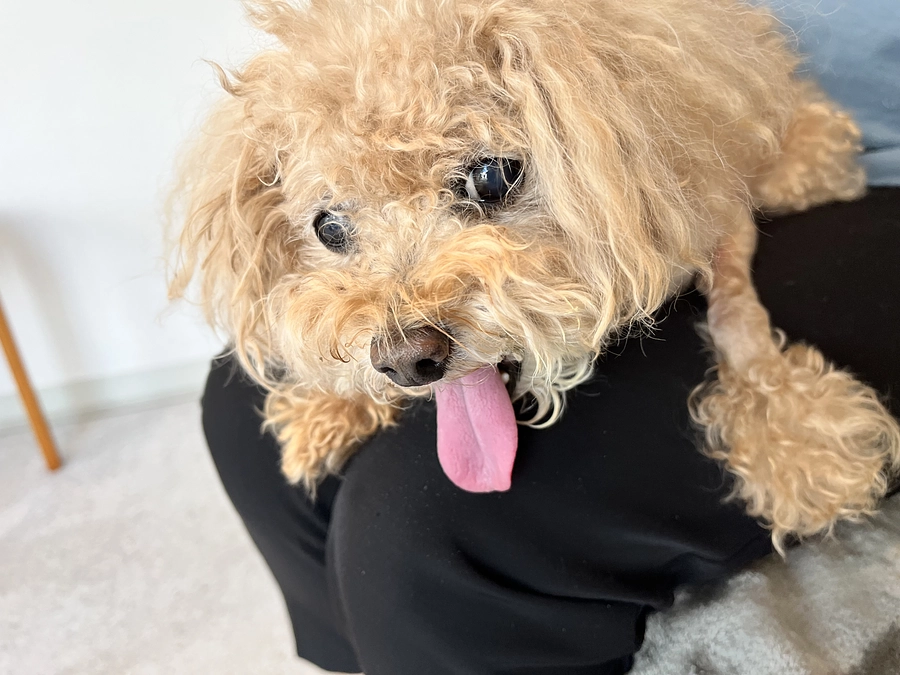 退院はまだ先になりそうです