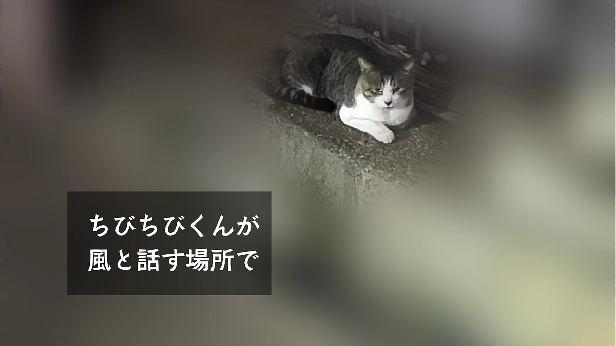🐾ちびちびくんが風と話す場所で