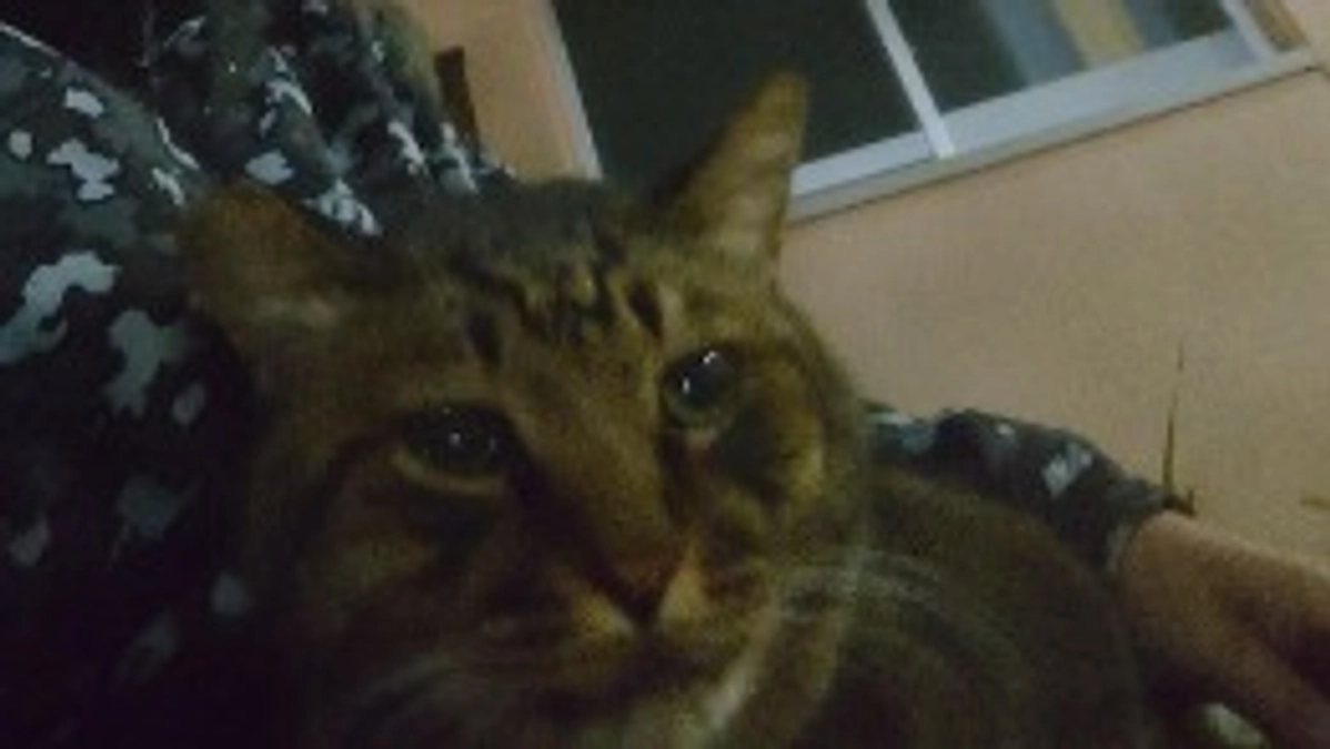 プロジェクト成立しました。