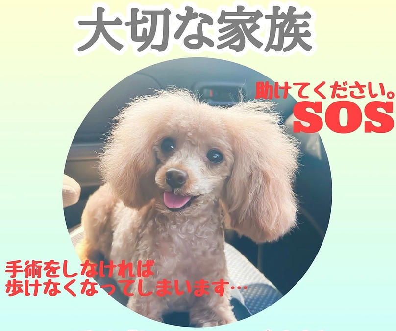 RADYFOR株式会社様について