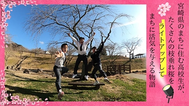 五ヶ瀬町の桜をライトアップしてまちを盛り上げたい！ のトップ画像