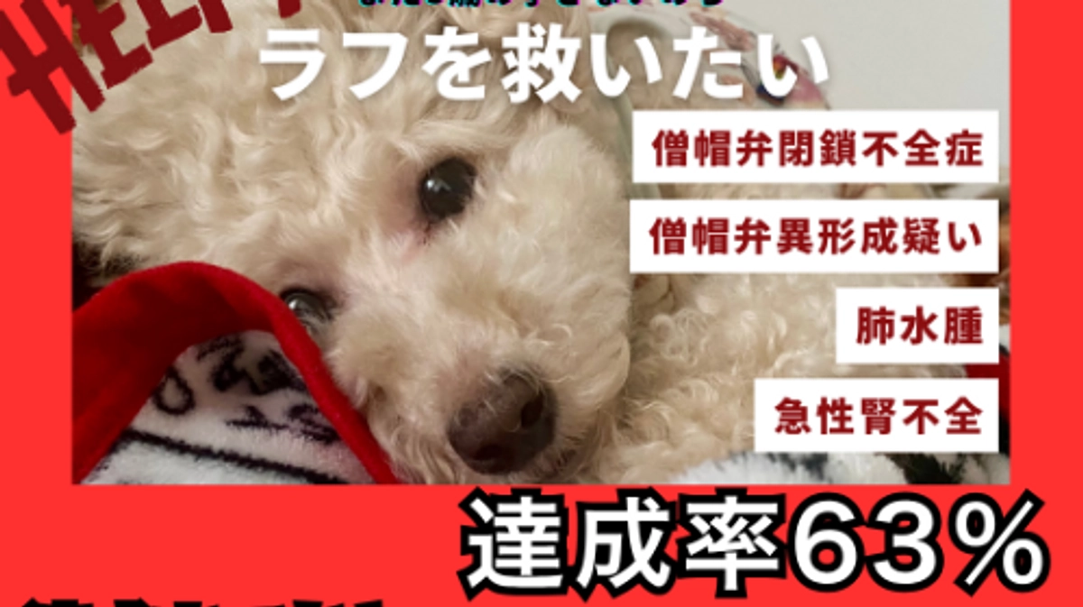 残り5時間。達成率63％…最後まであきらめません！！