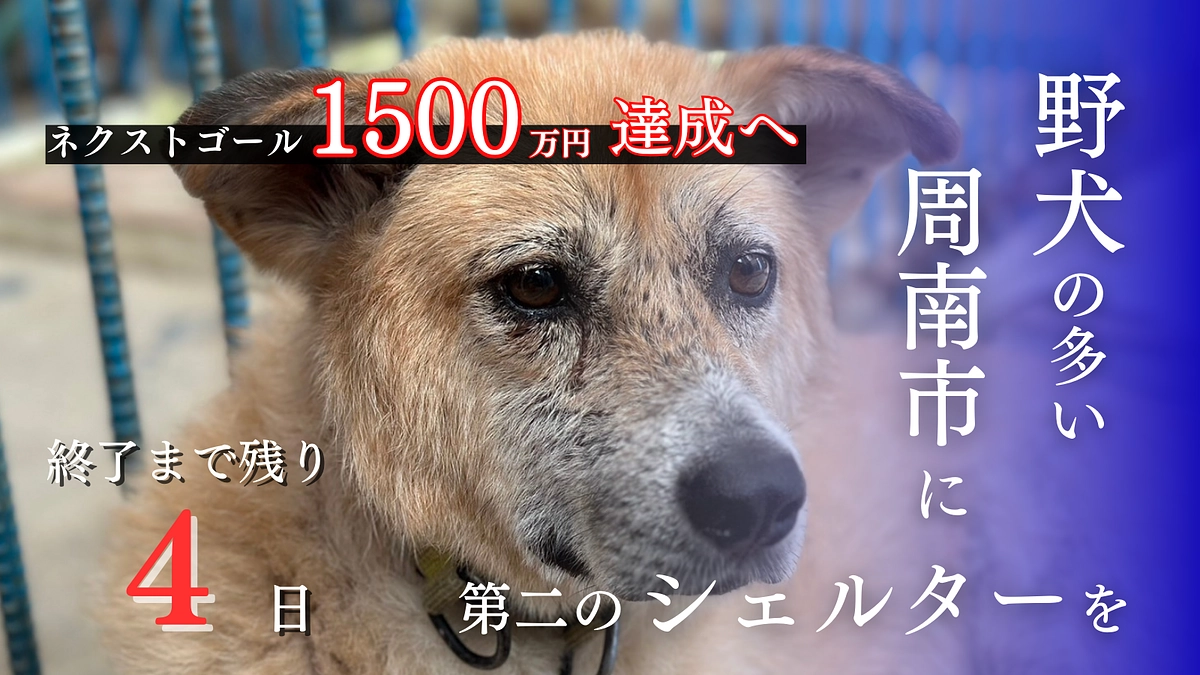 残り4日！情報の拡散をよろしくお願いします