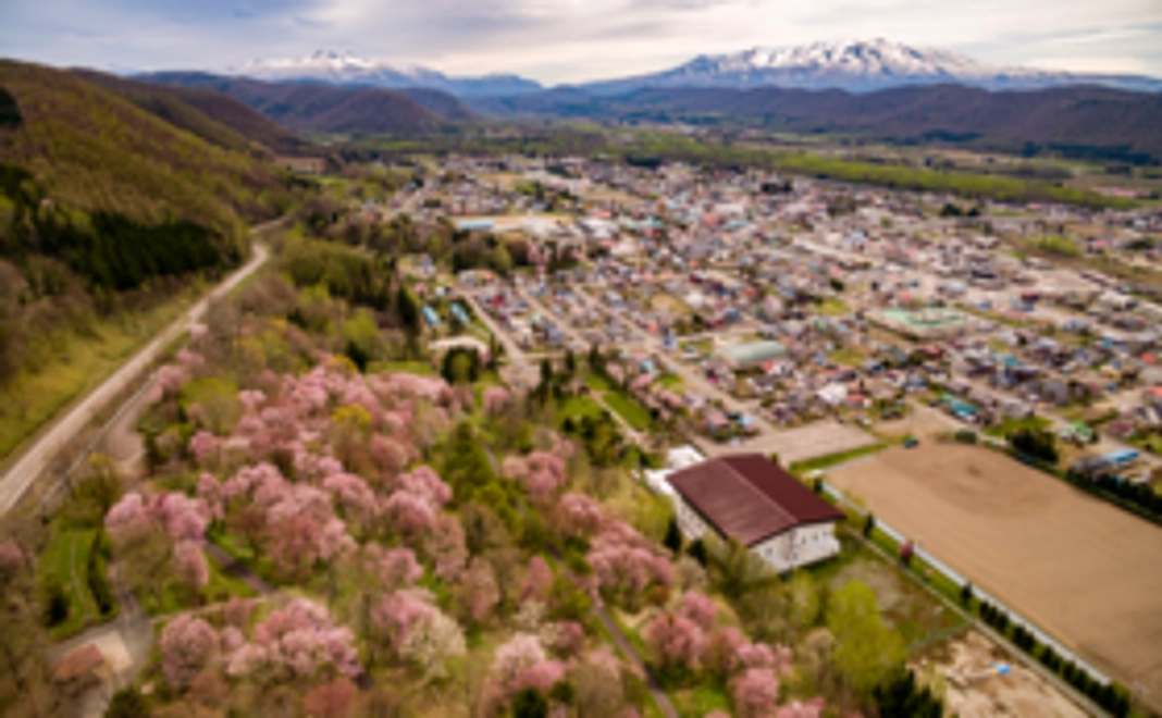 【全力応援】お気軽支援コース