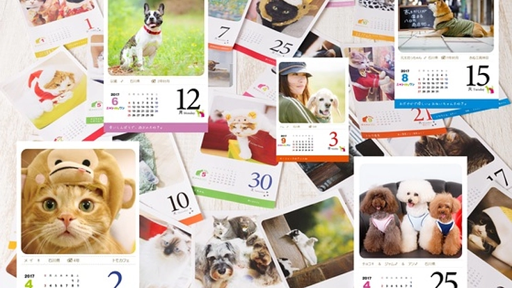 猫・犬の写真を365枚集めて、日めくりカレンダーを作成したい！