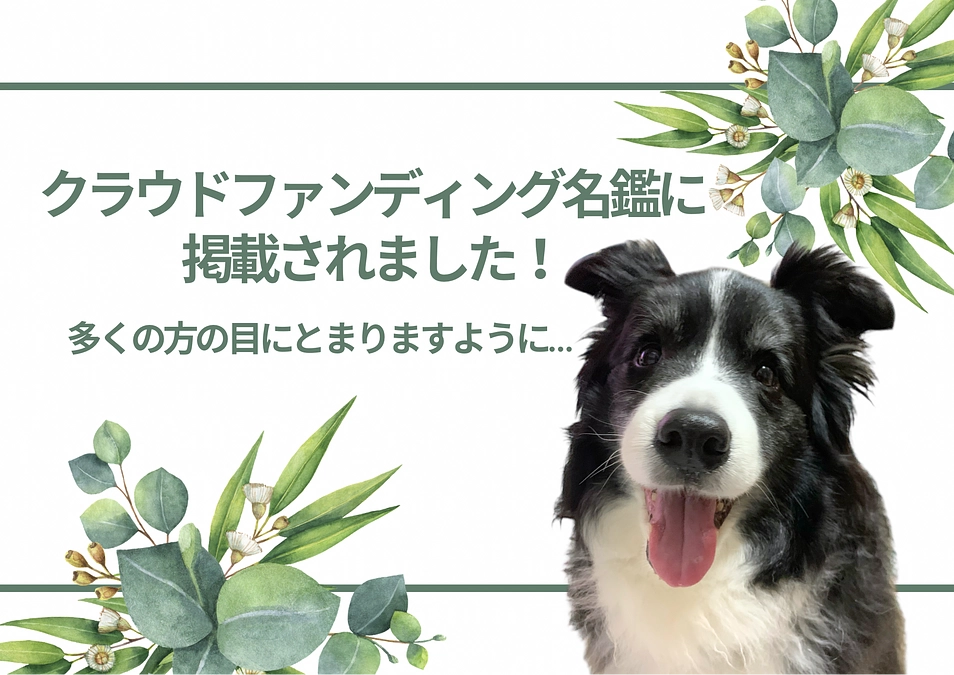 クラウドファンディング名鑑に掲載されました！