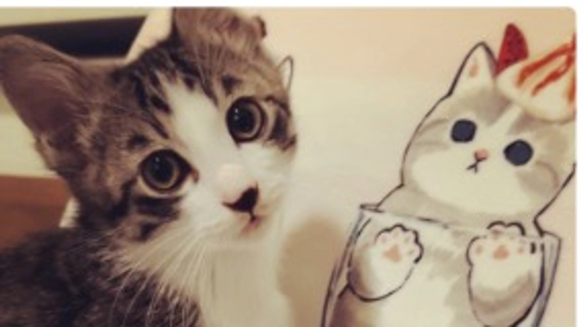 ありがとうございました。