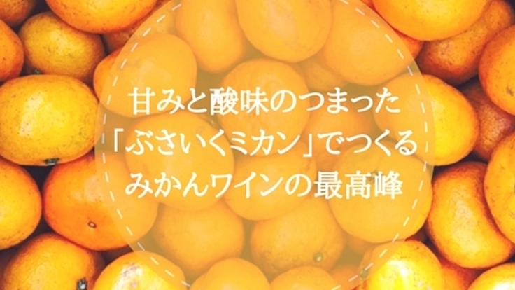 熊本発！こだわりのミカンで日本一のナチュラルみかんワインを！