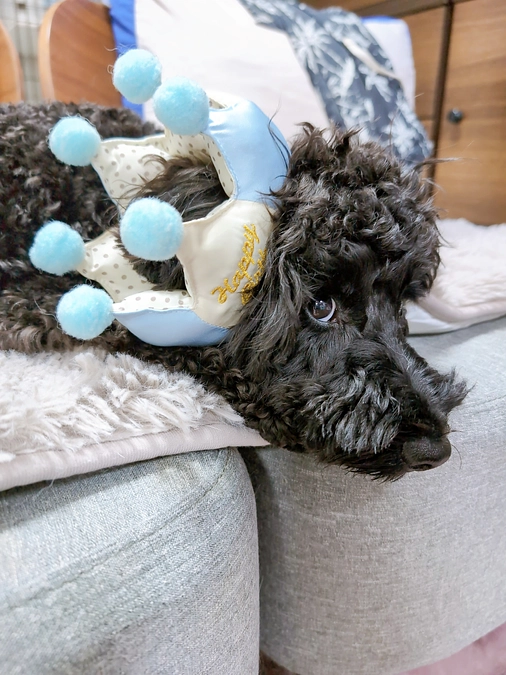 2歳♪おめでとう☆彡