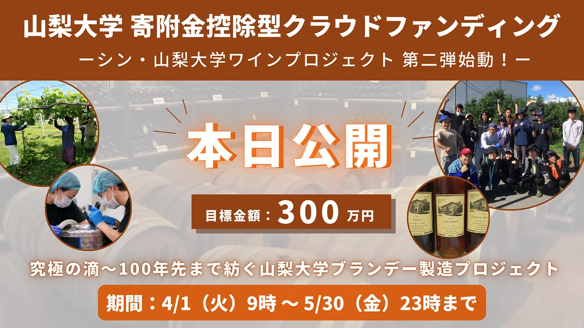山梨大学発、新たな挑戦！ブランデー製造プロジェクトは本日9時スタート！