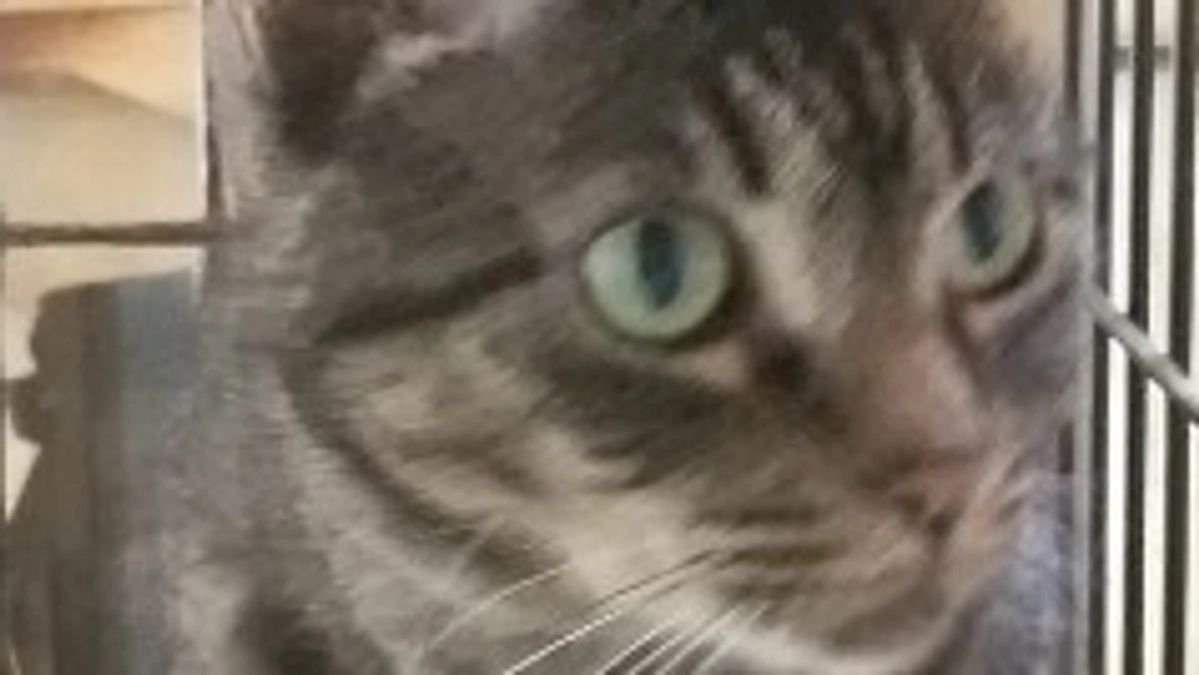 70%達成できました。