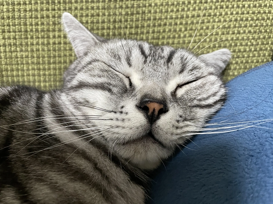 本日の銀時(投薬67日目)