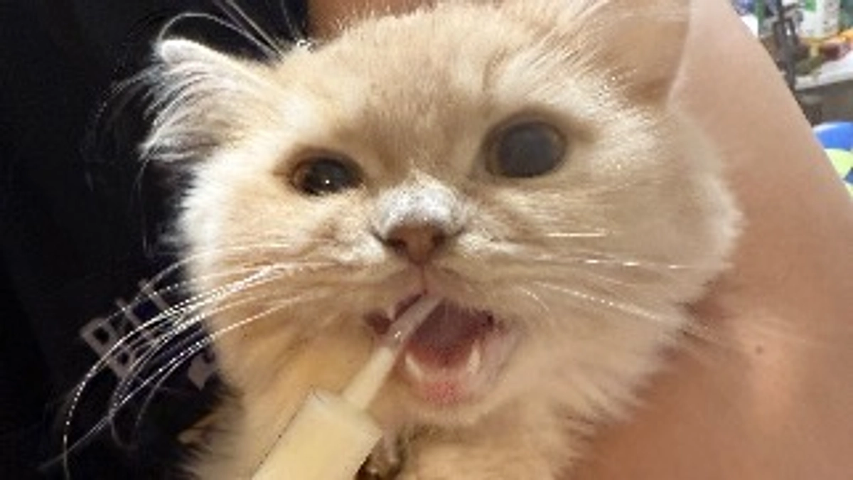 9/2 FIP確定し投薬開始しました