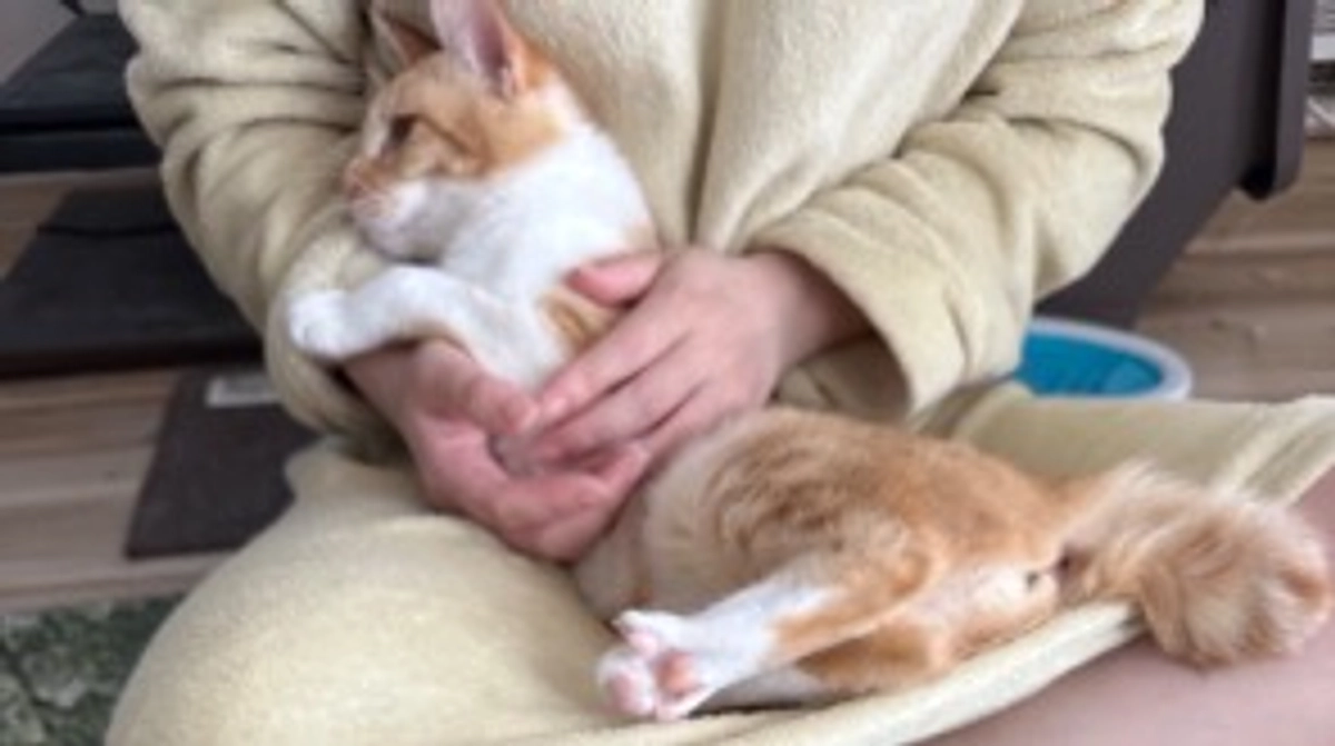 経過観察11日目（5/22）