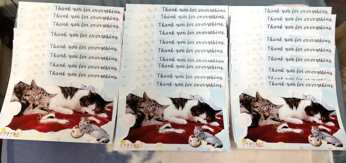  🐾～返礼品の季節のおハガキを発送しました～🐾