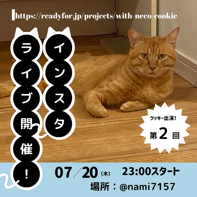 【7/20（木）23時～ 】インスタライブを開催します！