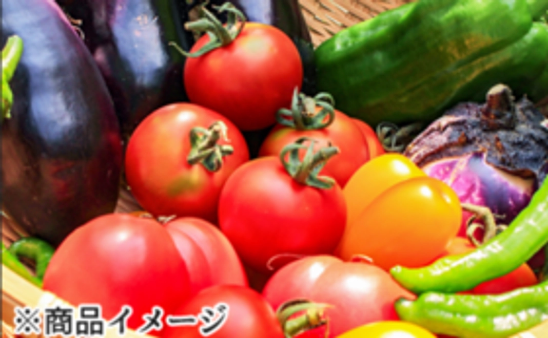 旬の野菜詰め合わせセット（7品）