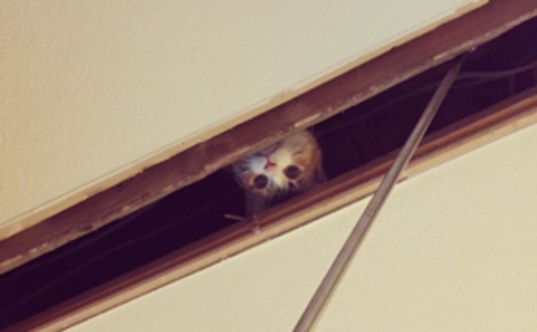 3000円のリターン