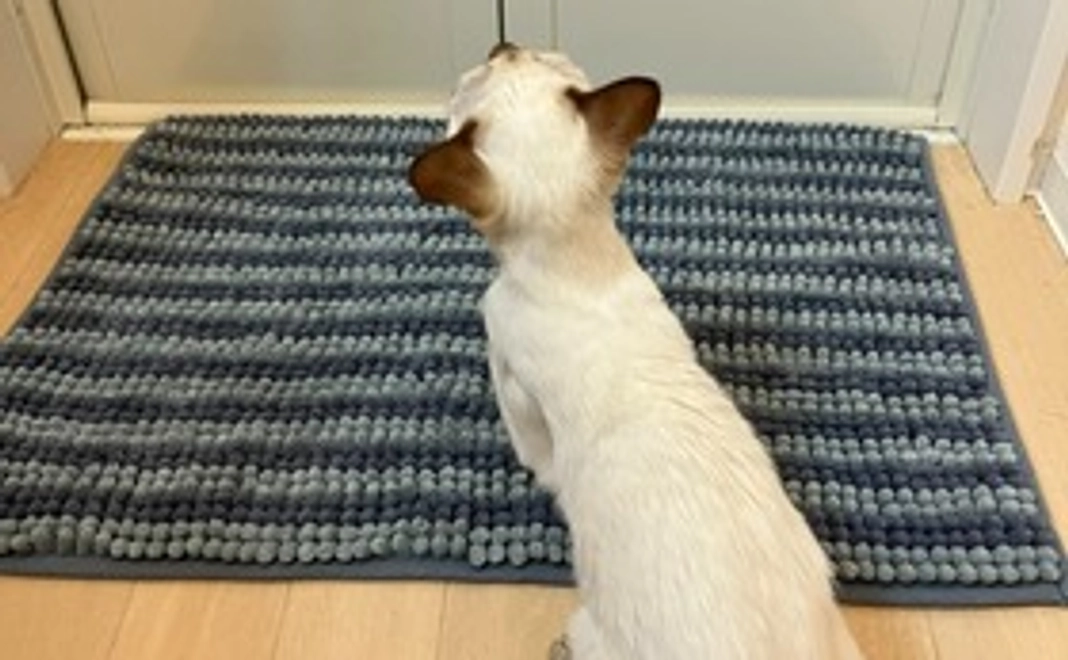 はる応援3,000円