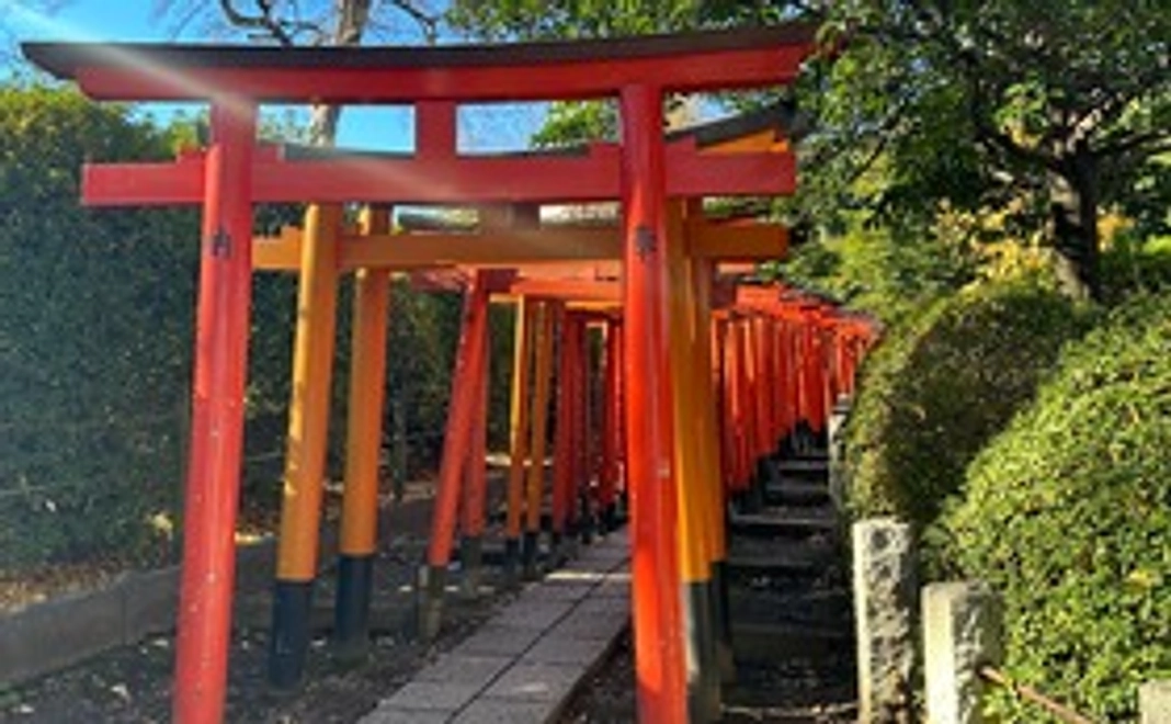 お気持ちコース