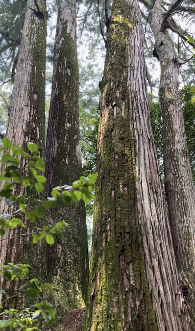 目標達成のご報告