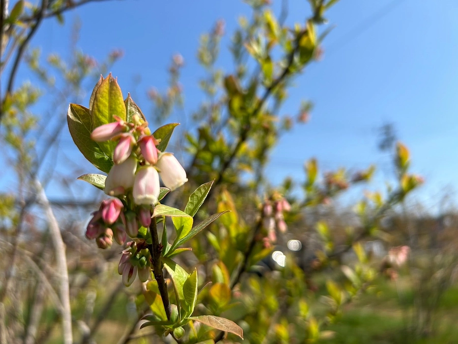 クラウドファンディングのお礼のお品を発送させていただきました。