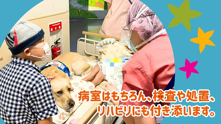 入院する子どもたちを笑顔に!ファシリティドッグ育成基金2024 3枚目