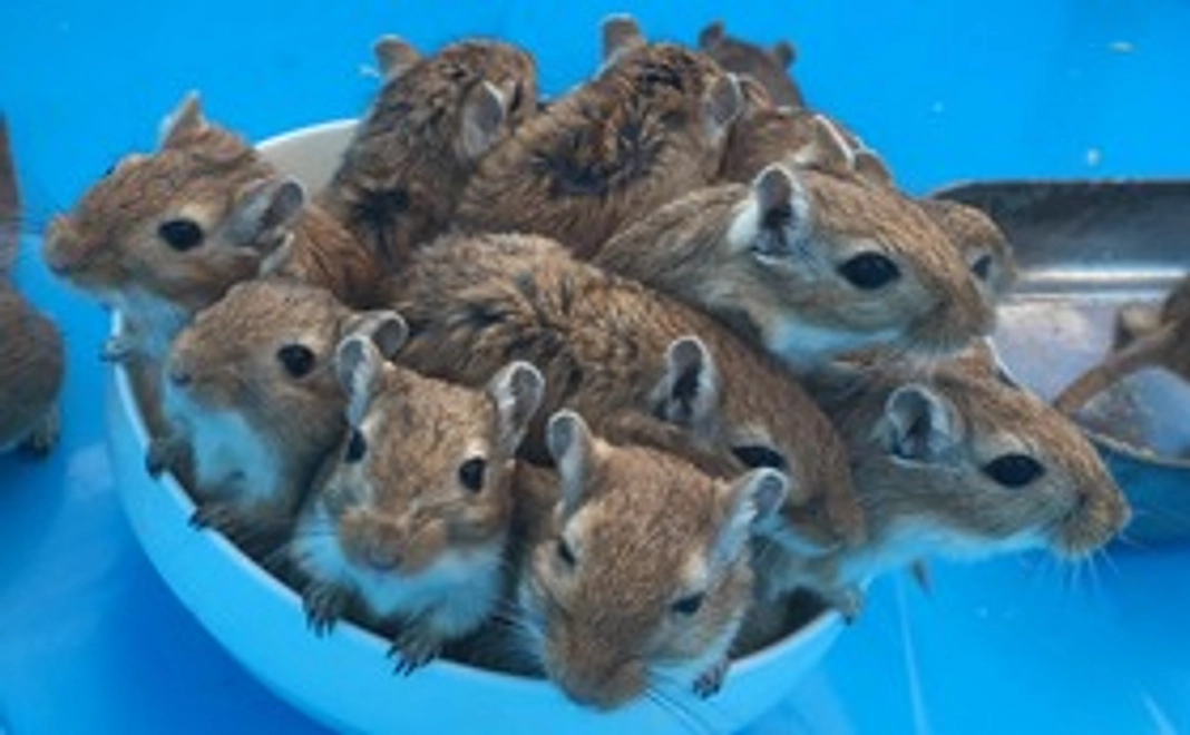 【リータン不要の方向け】お礼のメール