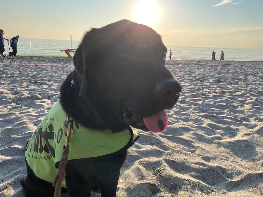 #みんなで届ける介助犬プロジェクトも残り９日です。本日、支援金が１０００万円を突破しました！