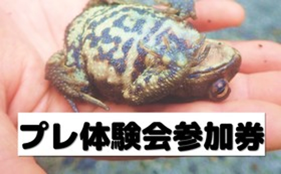 プレ体験会参加券