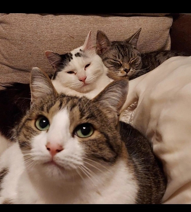 寛解後、1年ちょっとが過ぎました。