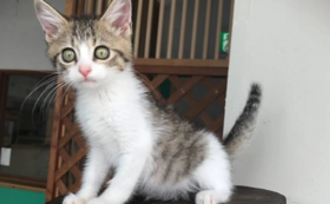 【皆さんの力の結集が大きな力になります！】