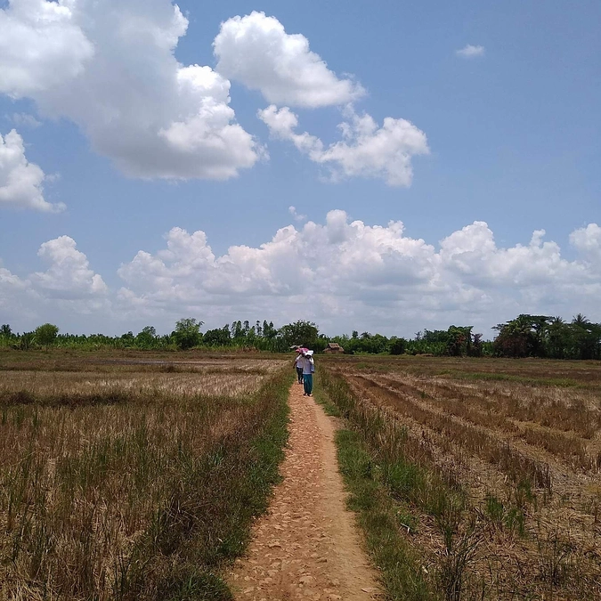 サポーターさんの声～将来、必ずや大輪の花が咲くと信じています