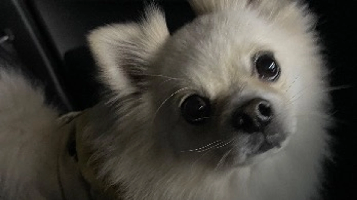 定期受診に行ってきました