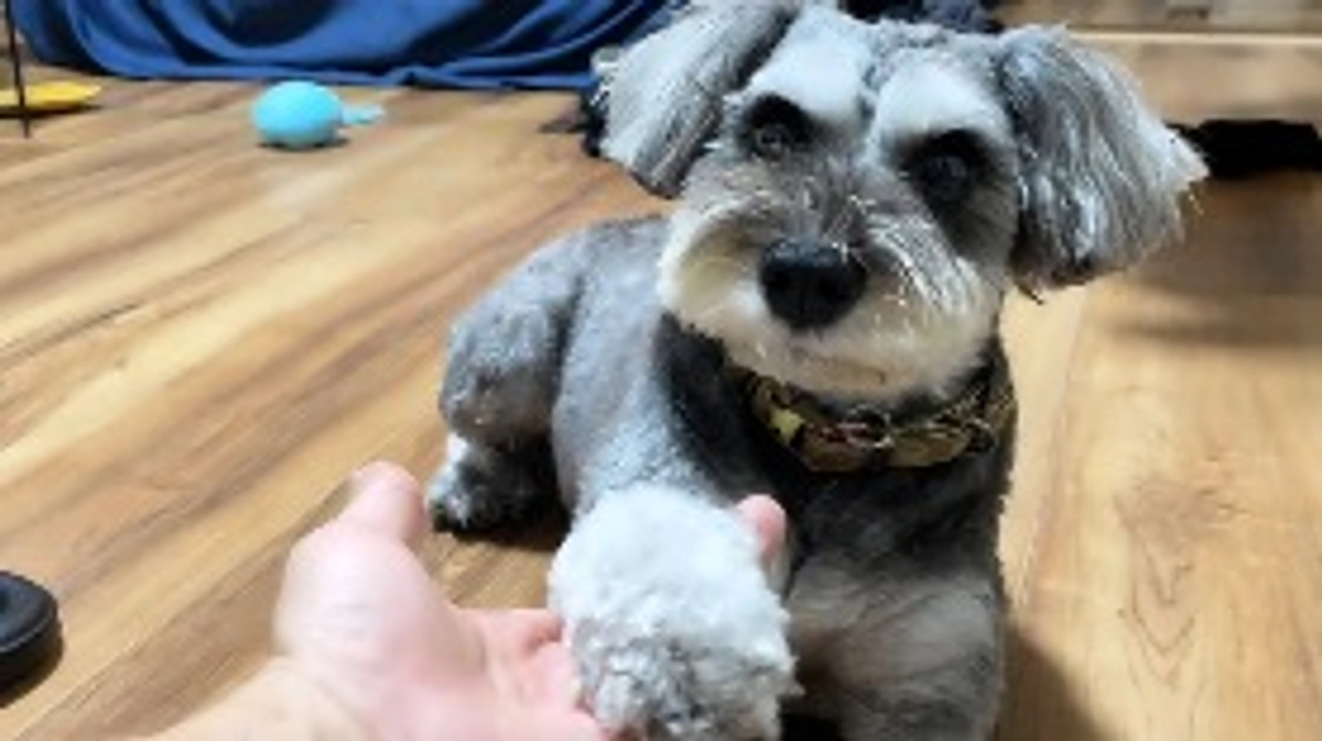 術後1ヶ月と1週間経ちました！😆