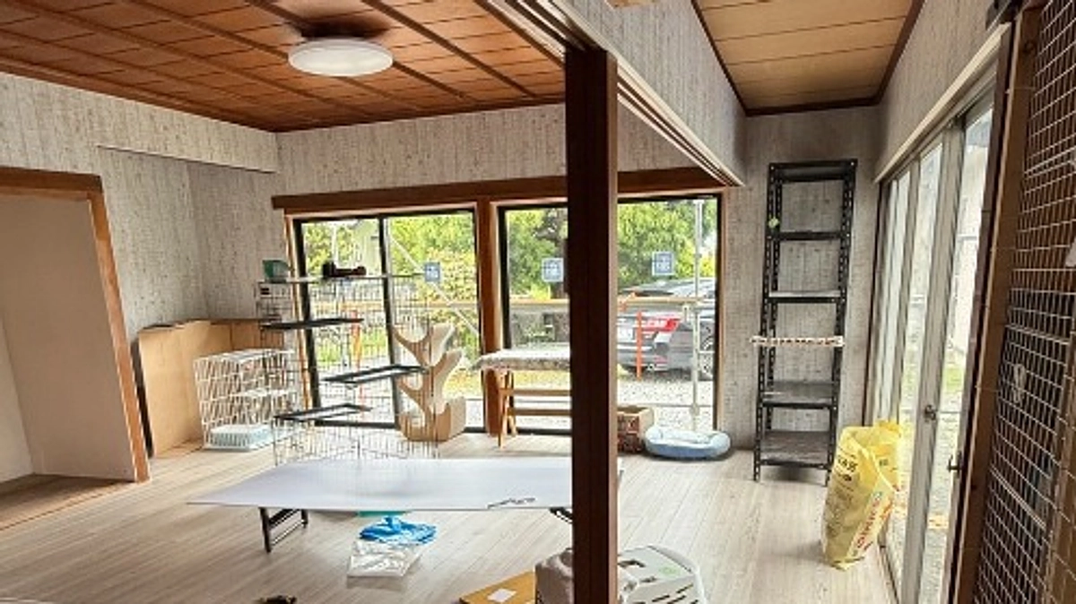 猫にゃんズ　室内リフォームが完成しました！