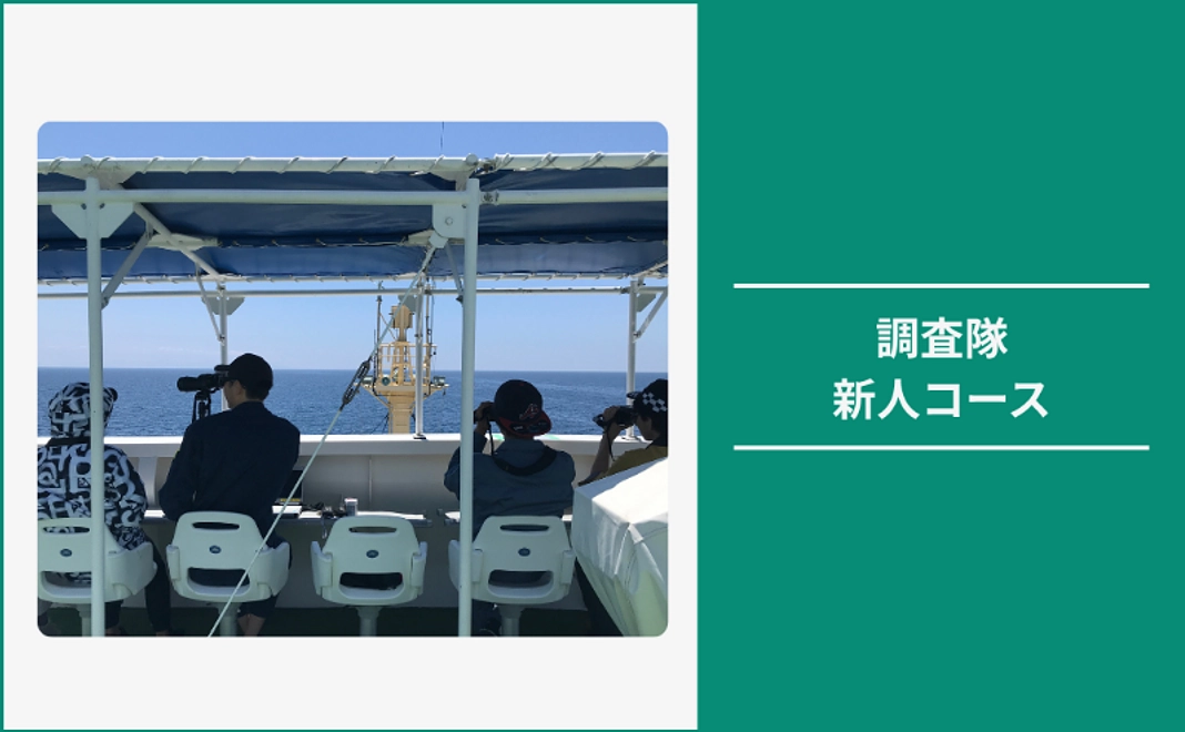 調査隊 新人コース