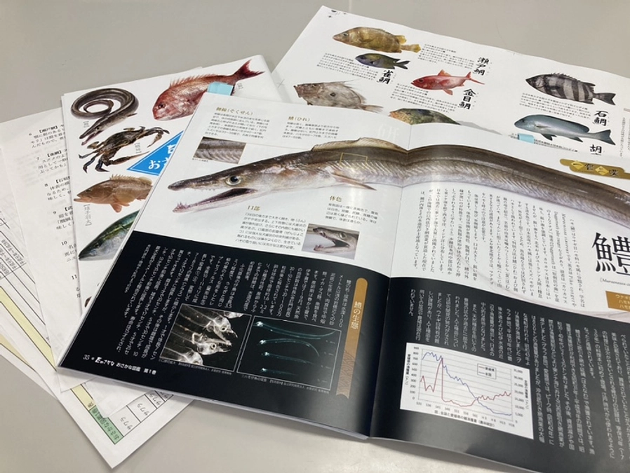 おさかな図鑑　現在制作中です！