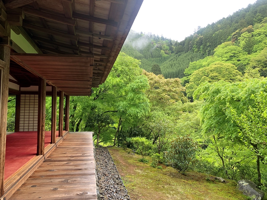 【公開3日目】たくさんのご支援ご応援に心よりお礼申し上げます。