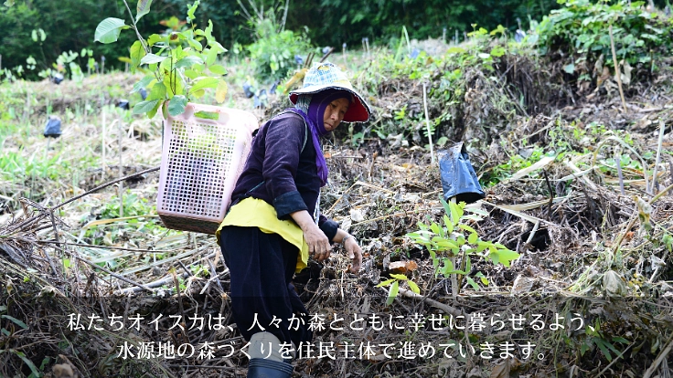森を守ることは、生活と文化を守ること。タイの森再生プロジェクト 7枚目