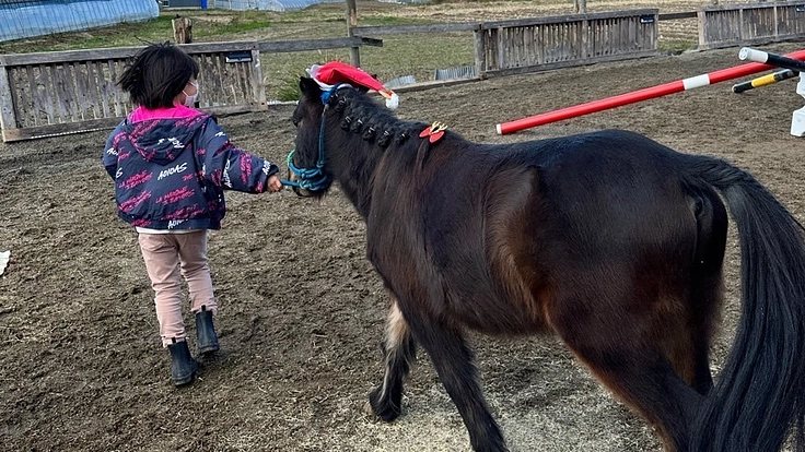 お役ごめんになった馬と生きづらい子どもの乗馬コミュニティに屋根を！