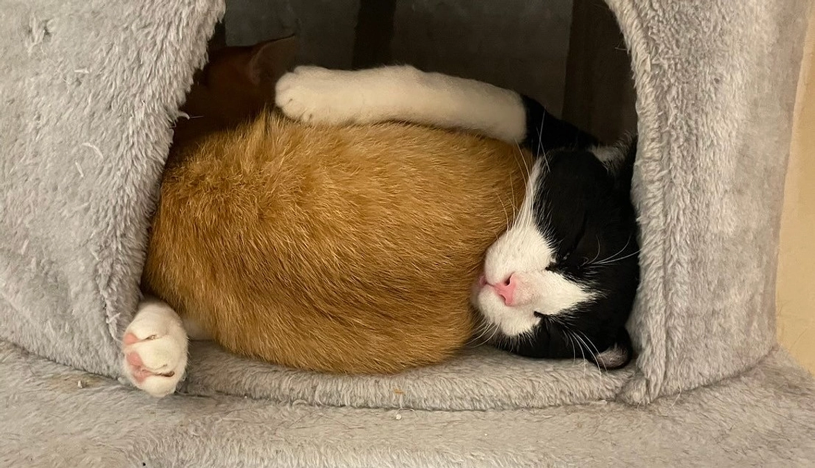 あたたかい人たちに囲まれて１０万円達成しました！