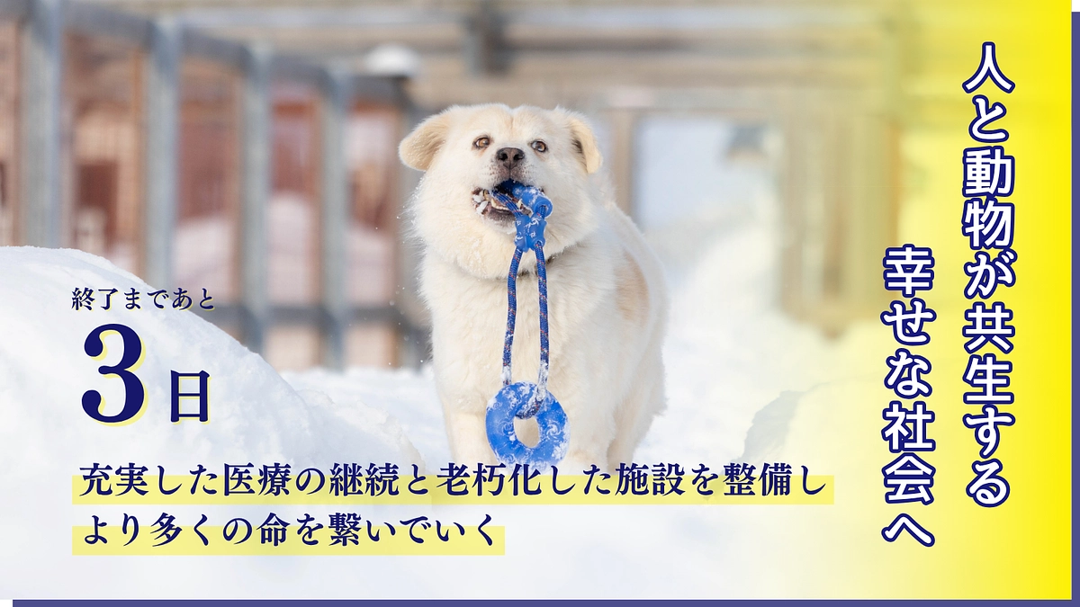 【残り3日】私たちが目指す社会／一頭でも多くの命に、安心と幸せを