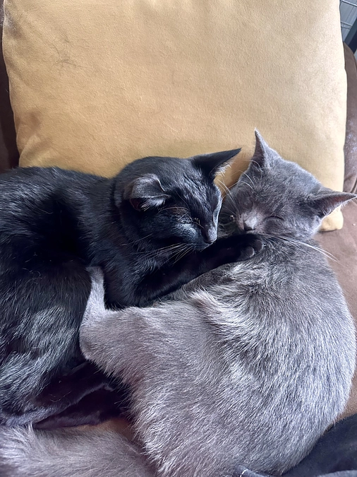 退院後の2回目の受診に行きました