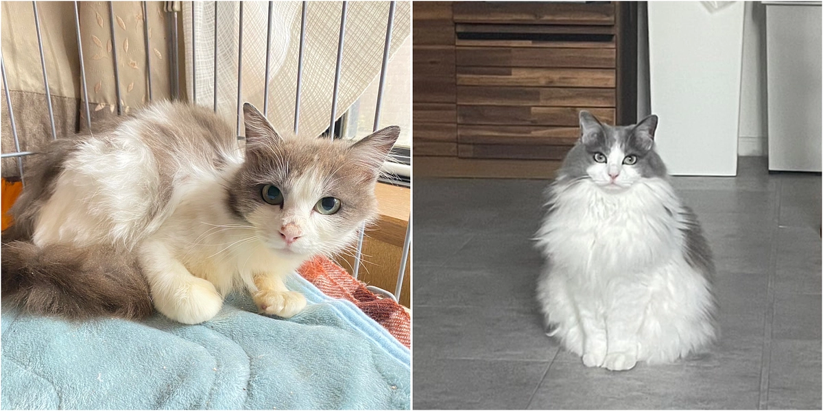 里親さん リレー④