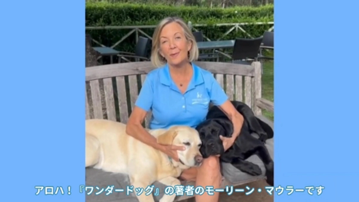 【クラファン挑戦中】『ワンダードッグ 人に寄り添う犬たち』著者モーさんからのメッセージが届きました！