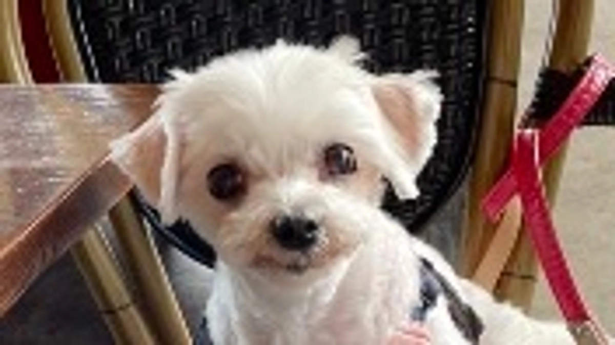 代理支援金 反映のご報告