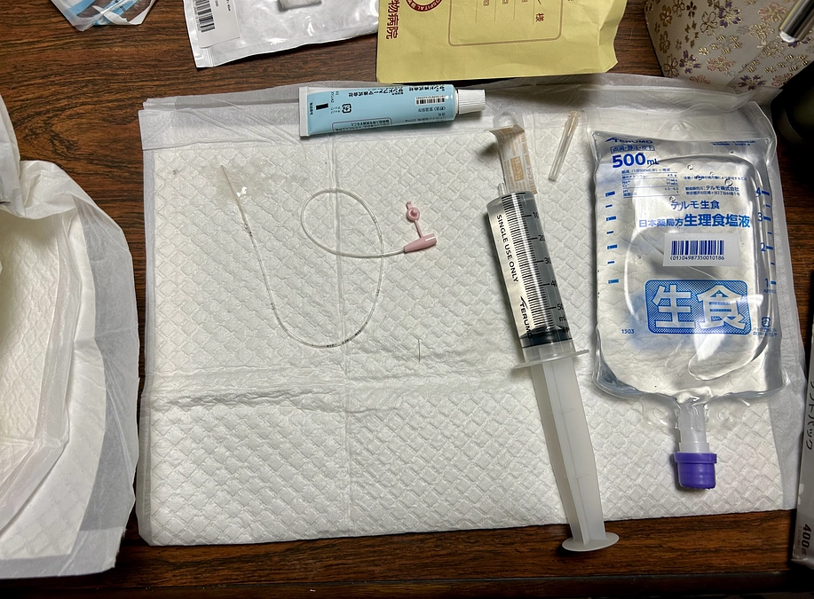 保護猫フェレちゃん　自宅でのカテーテル膀胱洗浄スタートです💦