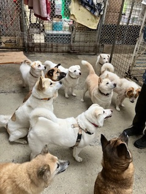 まあくんハウス、まあくんの家ともども感謝の気持ちでいっぱいです💓